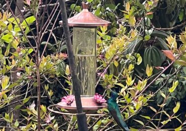 WhatsApp Image 2026-04-03 at 11.33.45